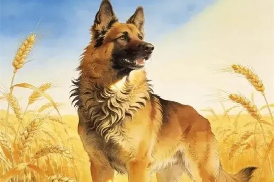 穷追猛打猜打一个经典最佳生肖代表准确生肖,独家精准答案释义